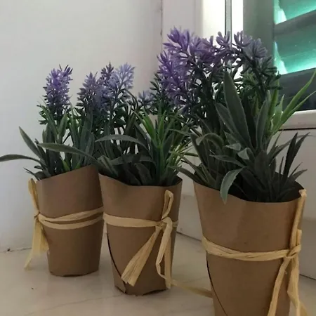 Azur Apartman